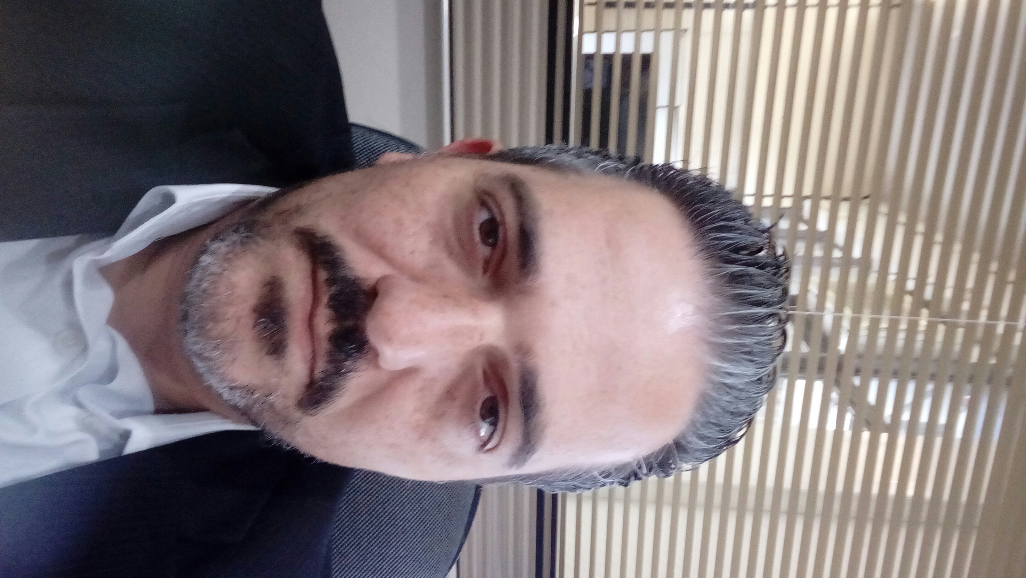 Luis Henrique Silva